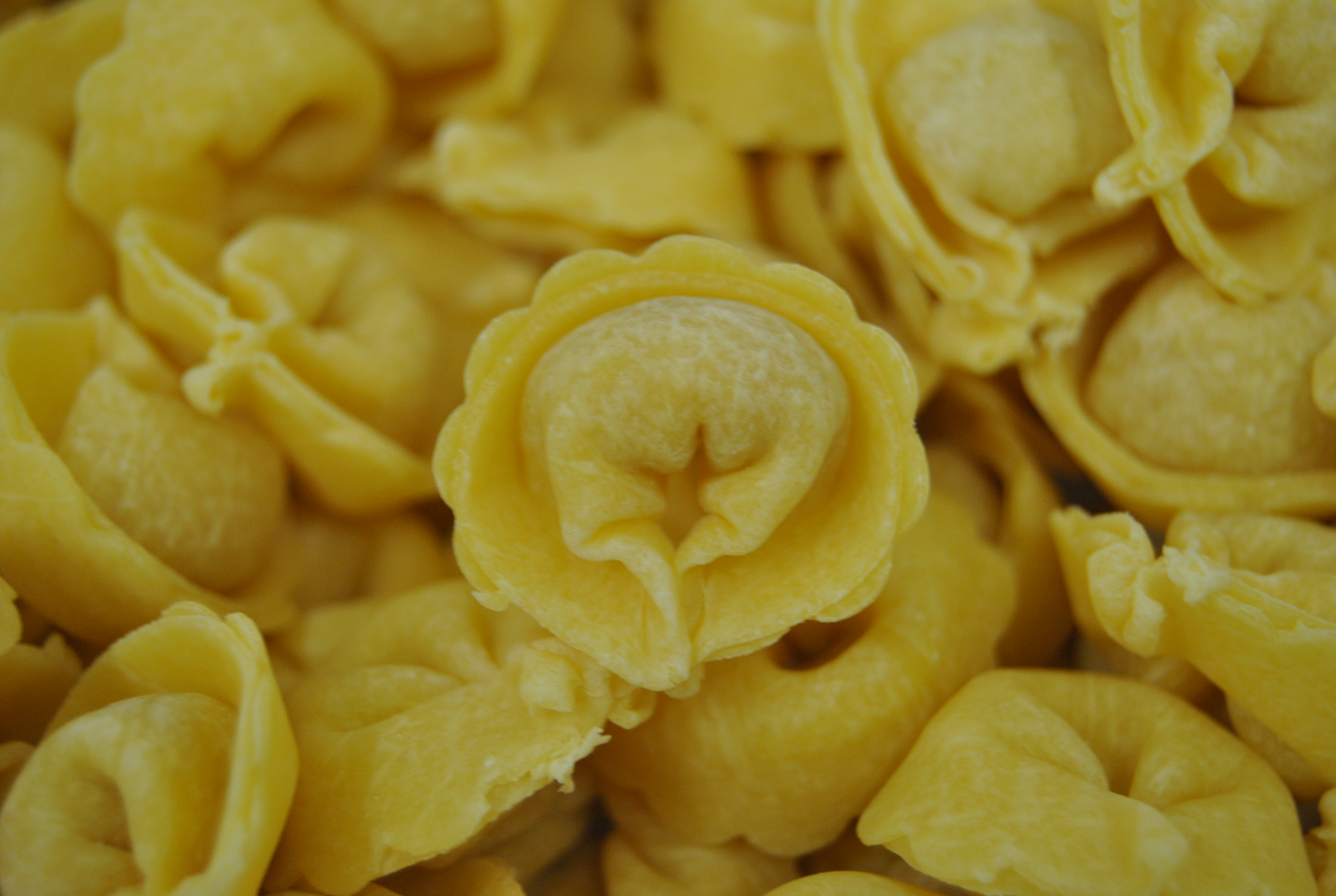 Tortellini artigianali